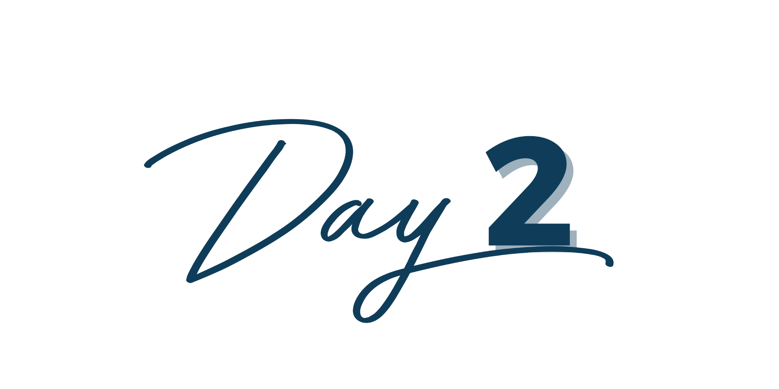 Day 2 live training
