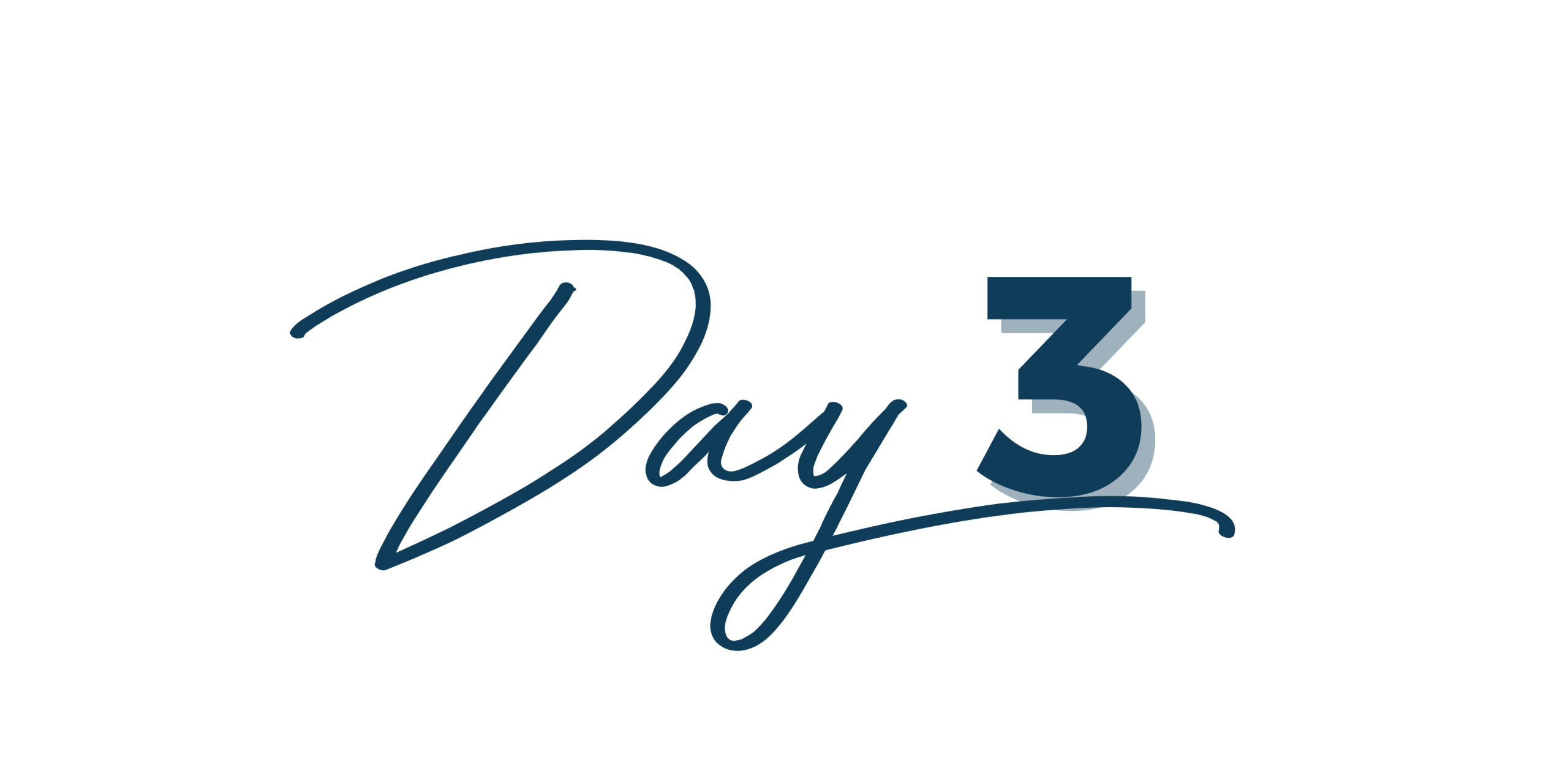 Day 3 live training