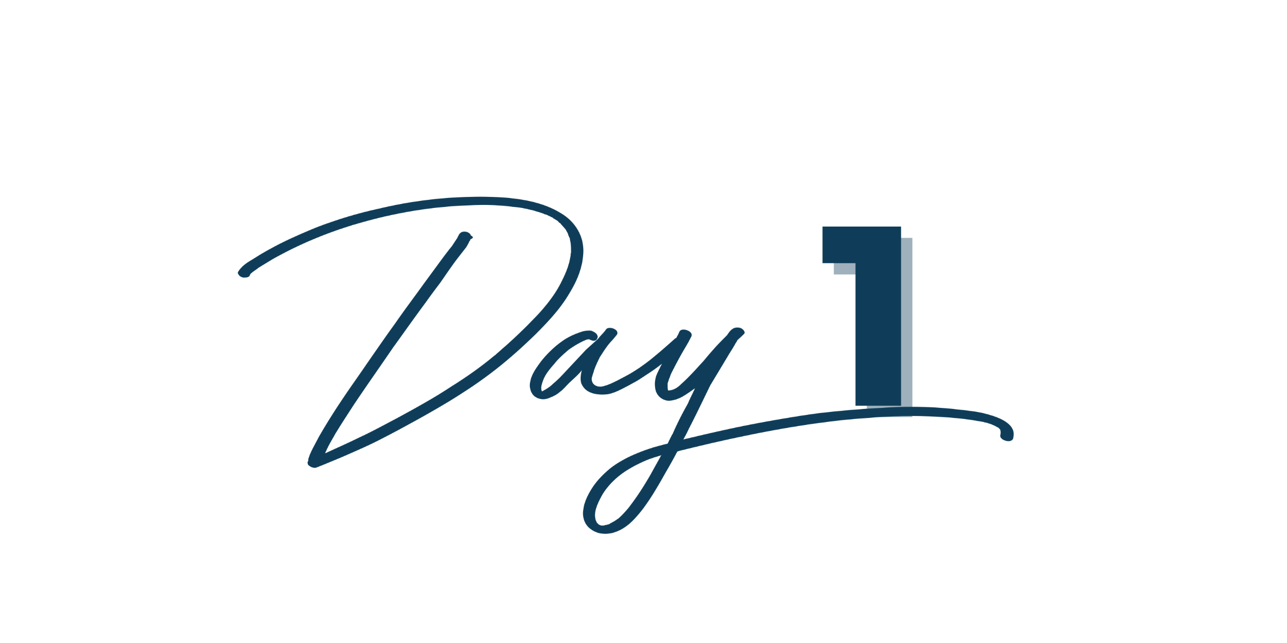 Day 1 live training